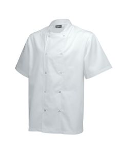 BASIC STUD JACKET SHORT SLEEVE WHITE - LARGE