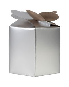 INDIVIDUAL PARTY BOX SILVER CASE X 24  SUPCJ200
