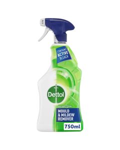 Dettol Mould & Mildew Remover 750ml