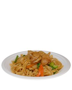 9" Bagasse Plate (Case/500)
