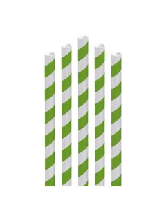 Green & White Striped Paper Straws 200mm x 6mm (Pack/250)