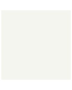 19"/48cm Dunilin Napkins White (Case/216)