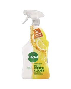 DETTOL MULTI ACTION 750ML