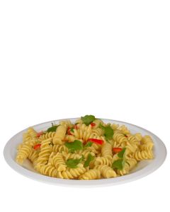 10" Bagasse Plate (Case/500)