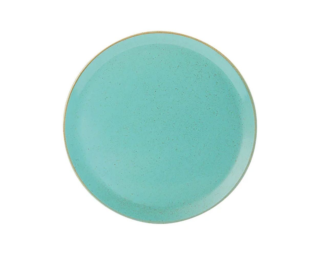 SEA SPRAY PIZZA PLATE 12.5" CASE X 6